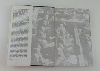 David John Cawdell Irving: Norimberk