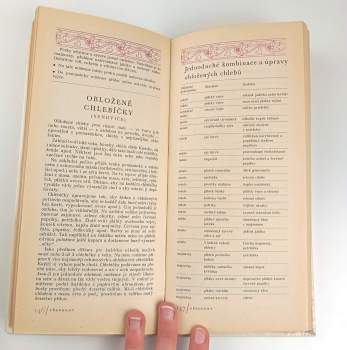 Joza Břízová: Nová domácí kuchařka