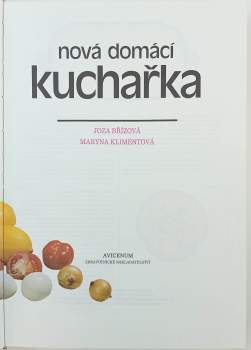 Joza Břízová: Nová domácí kuchařka