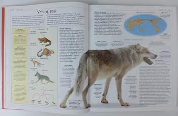 Nová encyklopédia psov