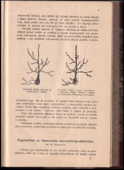 Nová kultura, kompletní ročník I. (1907 - 1908), čísla 1. - 12.