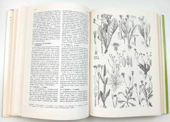 Josef Dostál: Nová květena ČSSR