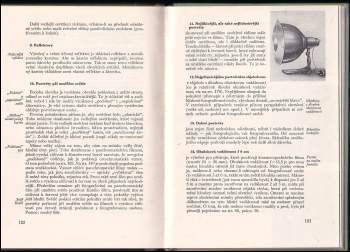 Hans Windisch: Nová škola fotografie