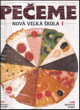 Nová velká škola