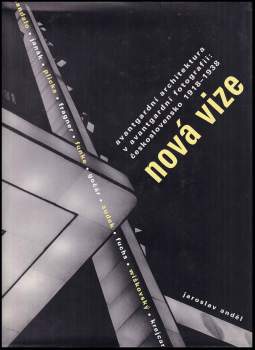 Nová vize