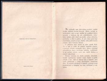 Knut Hamsun: Nová země