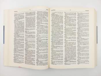 Jiří Kraus: Nový akademický slovník cizích slov A-Ž