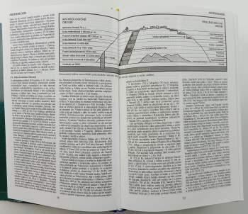 Nový biblický slovník