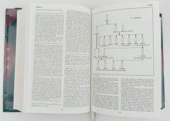 Nový biblický slovník