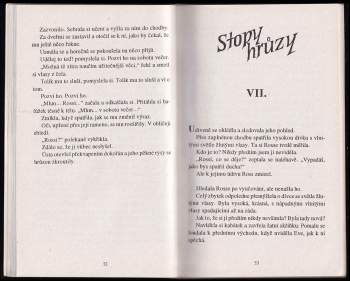 R. L Stine: Nový chlapec