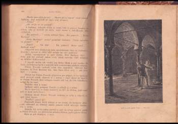 Jules Verne: Nový hrabě Monte Kristo