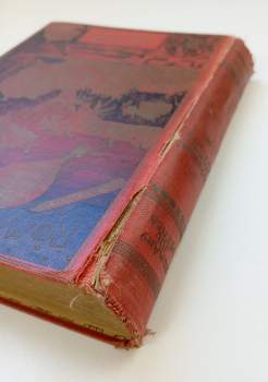 Jules Verne: Nový hrabě Monte Kristo