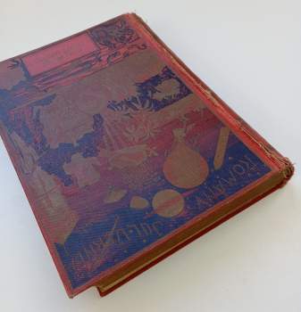 Jules Verne: Nový hrabě Monte Kristo