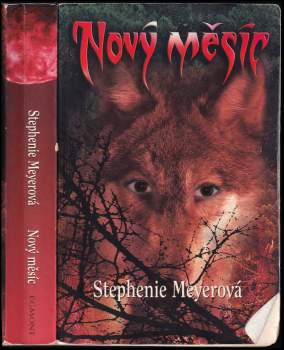Nový měsíc