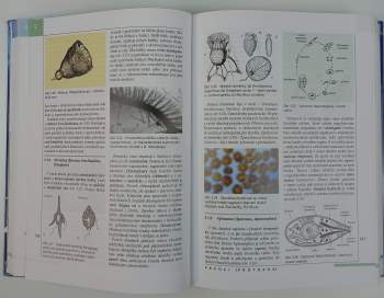Stanislav Rosypal: Nový přehled biologie