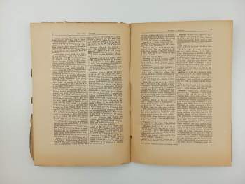 Prokop Toman: Nový slovník československých výtvarných umělců