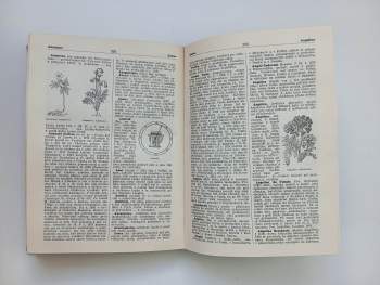 Antonín Dolenský: Nový velký ilustrovaný slovník naučný -  SVAZKY I - XVII. + 3 DODATKY - KOMPLETNÍ