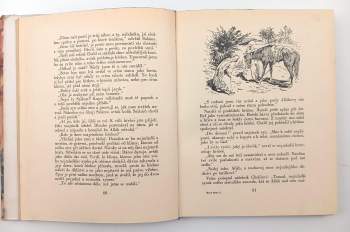 Alois Musil: Nový život