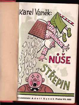 Karel Vaněk: Nůše střepin