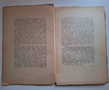 Arthur Schopenhauer: O animálním magnetismu a magii