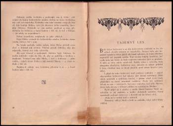 Alfons Bohumil Šťastný: O čarodějnicích