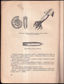 Bohuslav Růžička: O čem nám vyprávějí zkameněliny