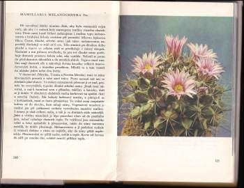 Josef Jelínek: O kaktusech