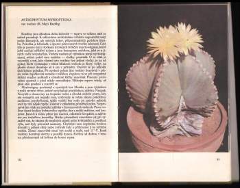 Josef Jelínek: O kaktusech