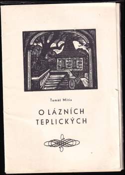 Tomáš Mitis z Limus: O lázních teplických