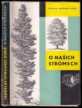 O našich stromech