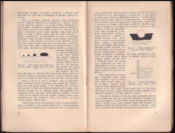 William Lawrence Bragg: O povaze věcí