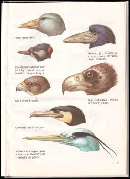 Jaromír Zpěvák: O ptácích