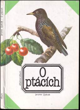 O ptácích