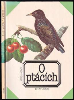 O ptácích
