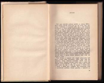 Jan Neruda: O umění