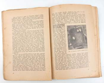 Jiří Savvin: O včelách a včelaření