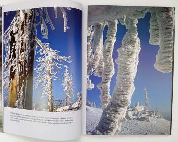 Siegfried Weiss: O věčných proměnách lesa