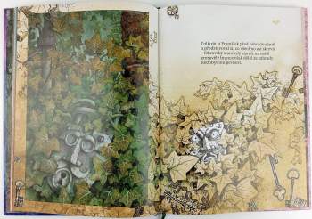 Pavel Čech: O zahradě