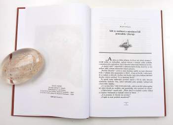Jules Verne: O život