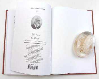 Jules Verne: O život