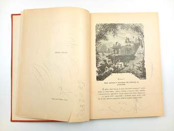 Jules Verne: O život