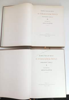 Karel Václav Rais: O ztraceném ševci