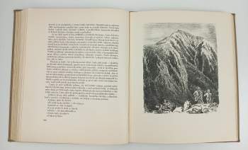 Karel Václav Rais: O ztraceném ševci