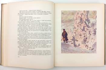 Karel Václav Rais: O ztraceném ševci