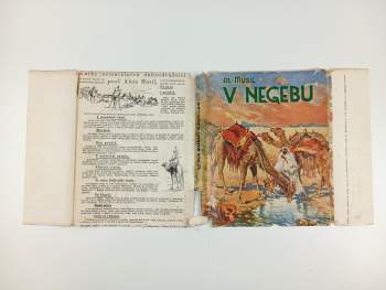 OBÁLKA V Negebu - A. L. Salač