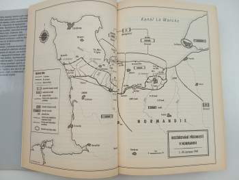 Stephen E Ambrose: Občané vojáci