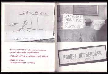 Jaromír Hořec: Občanské fóry