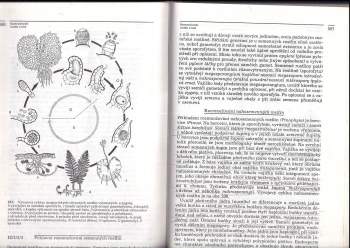 Alexej Romanovský: Obecná biologie