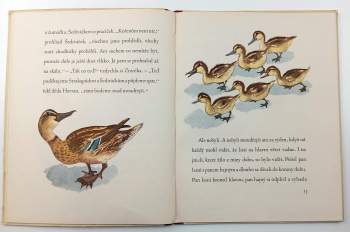 Josef Zeman: Obětavá Zrzečka