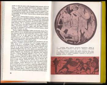 Vojtěch Zamarovský: Objevení Tróje